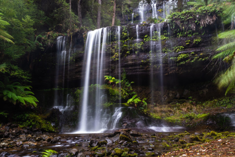 Tasmania Waterfall